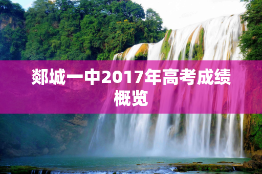 郯城一中2017年高考成绩概览
