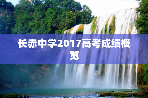 长赤中学2017高考成绩概览