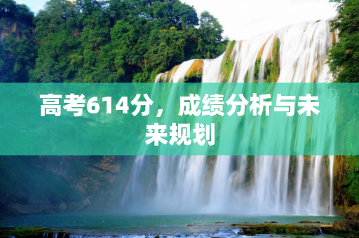 高考614分，成绩分析与未来规划
