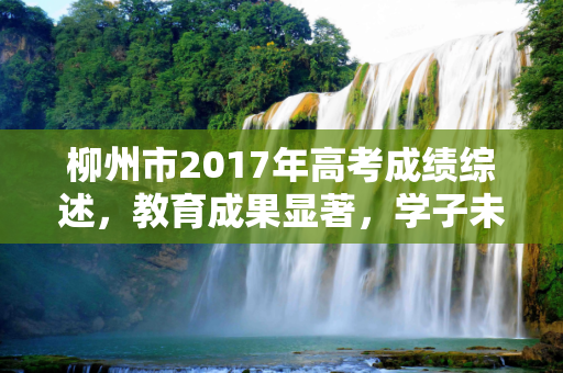 柳州市2017年高考成绩综述，教育成果显著，学子未来可期,柳州市2017年高考成绩